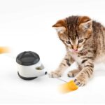 Fizika paremtas žaislas katėms - Švytuoklė
