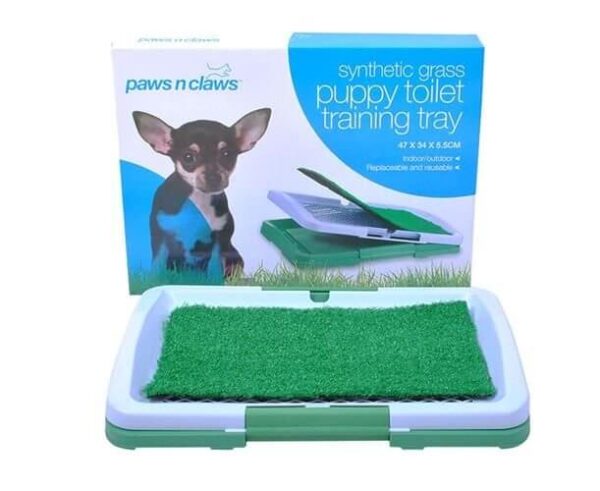 Šuns tualetas su dirbtine žole