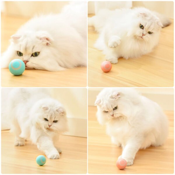 nteraktyvus žaislas katėms - Kamuoliukas - dovanos gyvūnams, prekės gyvūnams, žaislai gyvūnams